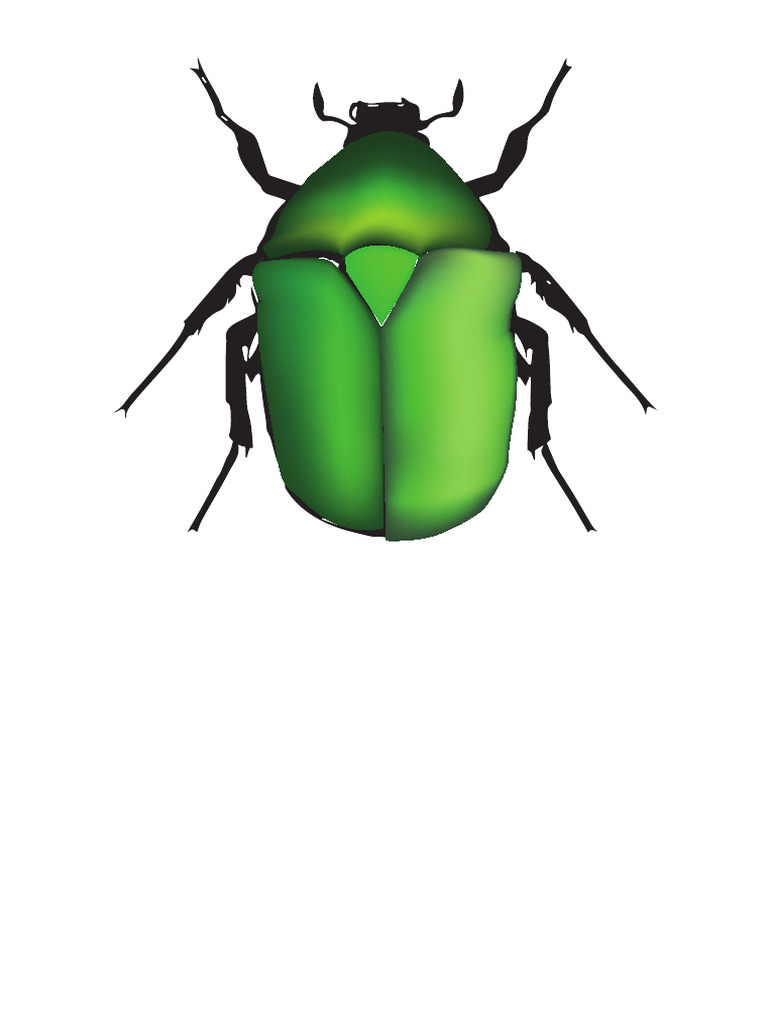 Vector Beetle | PDF