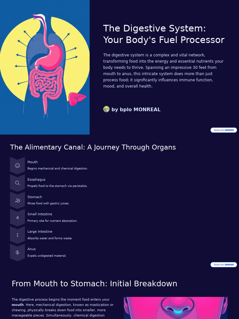 Understanding the Digestive System | PDF | Digestion | Gastrointestinal ...