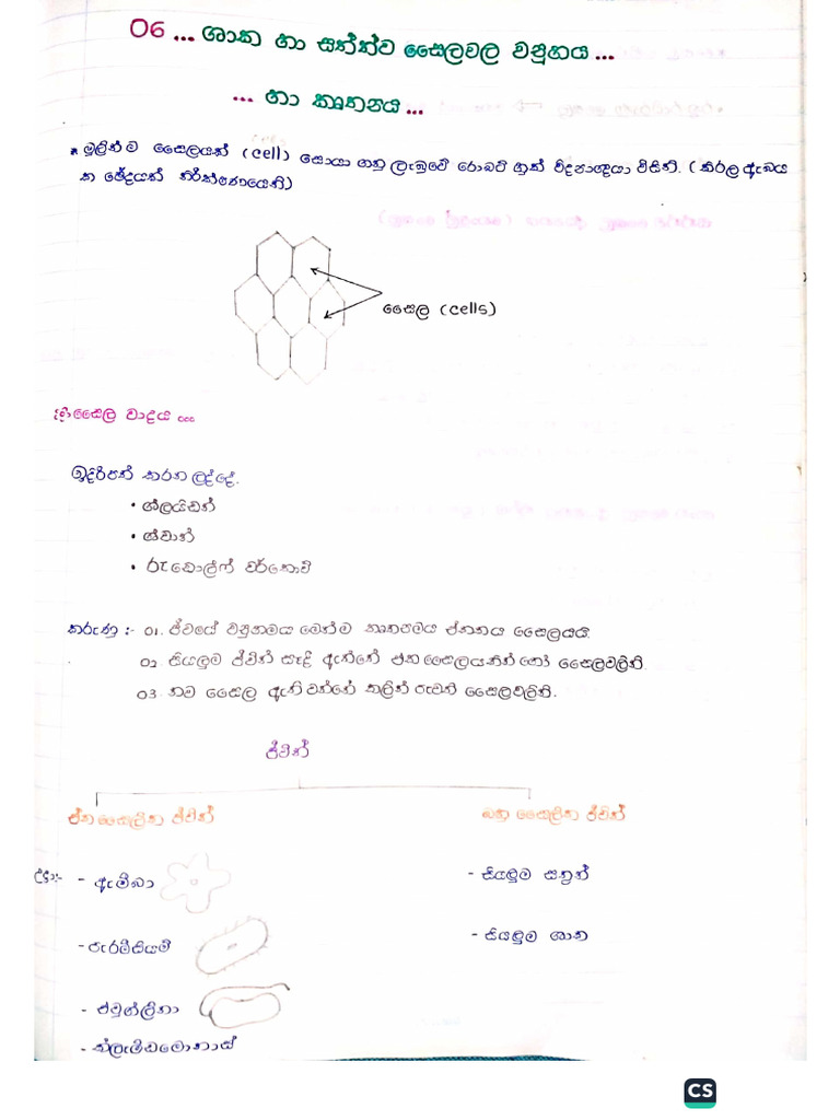 Shaka Ha Sathwa Saila | PDF