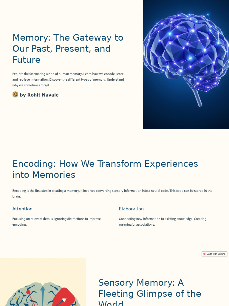 Understanding Human Memory Processes | PDF | Memory | Long Term Memory