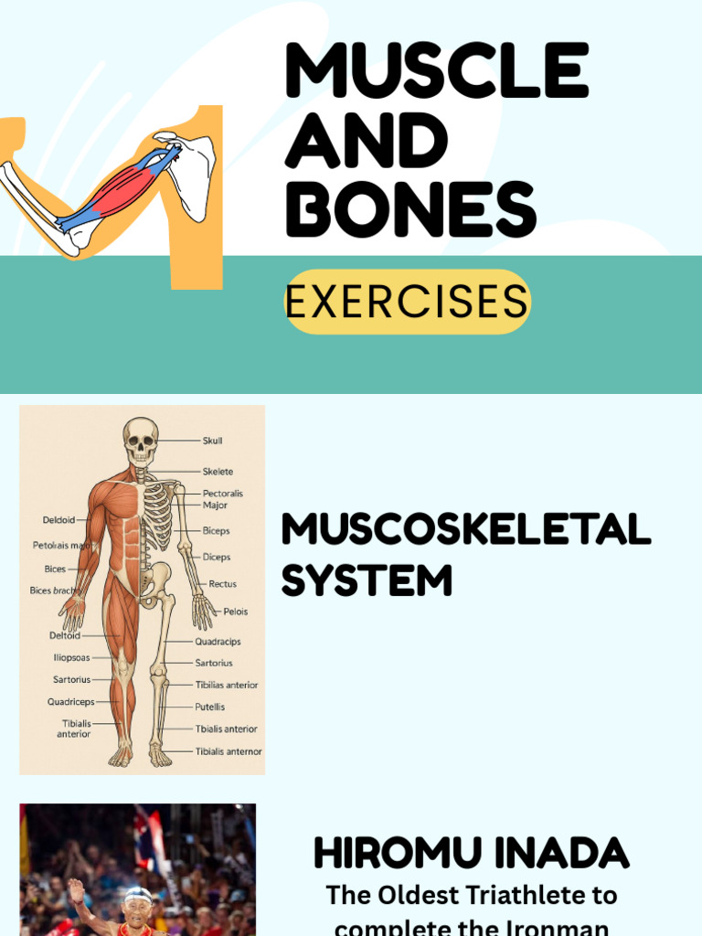 Muscle and Bone Exercises for Aging | PDF