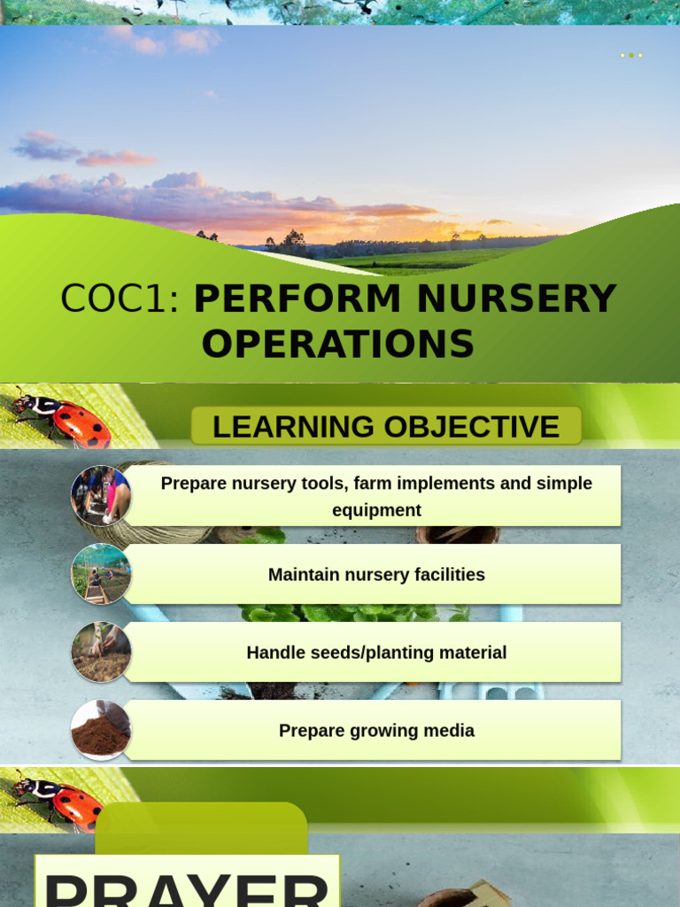 Nursery Operations and Sanitation Guide | PDF | Plant Nursery | Sanitation