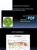 Metode Pengambilan Data Serangga