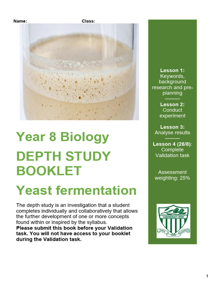 Yeast Fermentation Depth Study Guide | PDF | Yeast | Fermentation