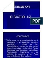 Factor Luz