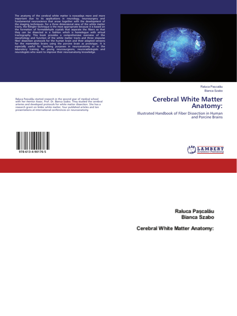 Cerebral White Matter Anatomy | PDF