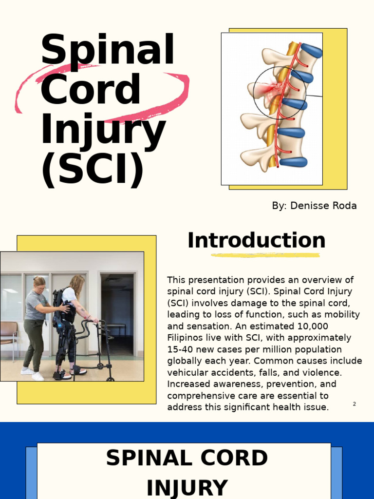 Overview of Spinal Cord Injury Management | PDF | Spinal Cord | Spinal ...