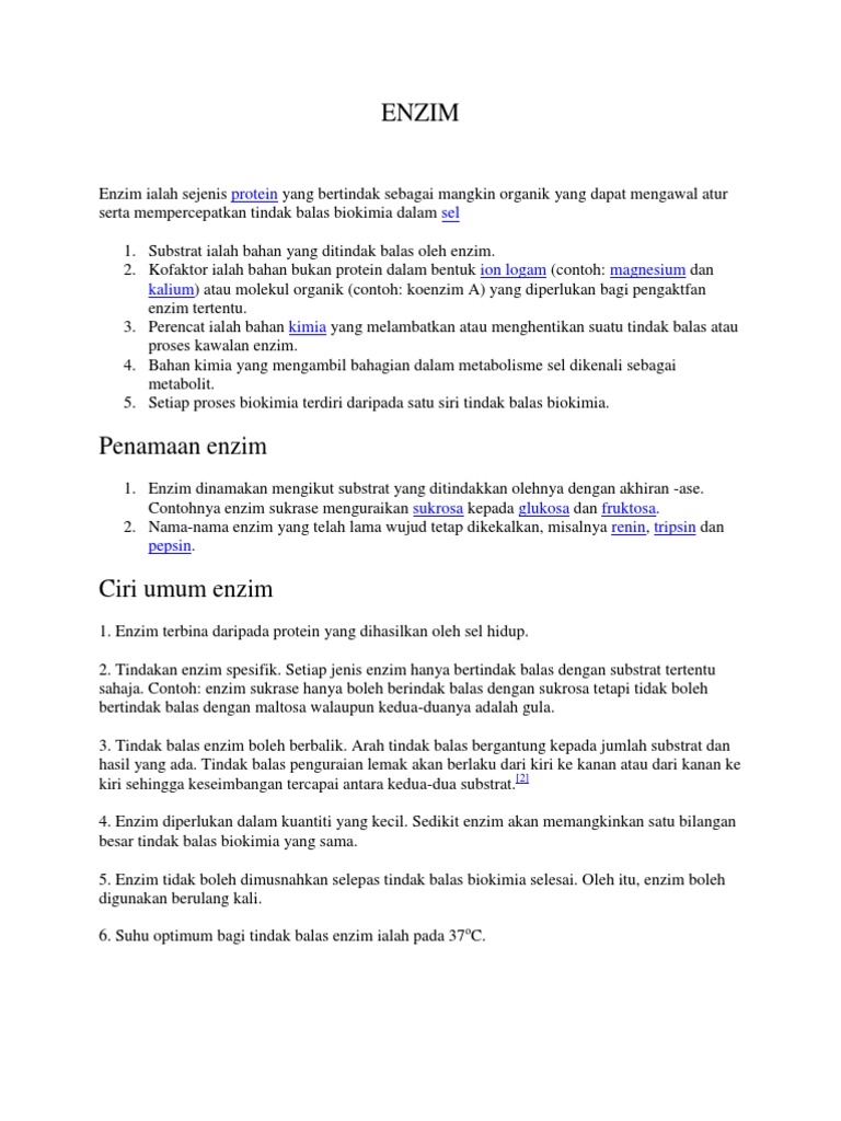 Enzim Pdf