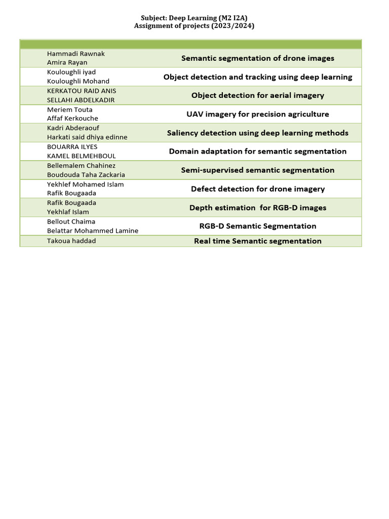 Deep Learning Projects Overview 2023/2024 | PDF