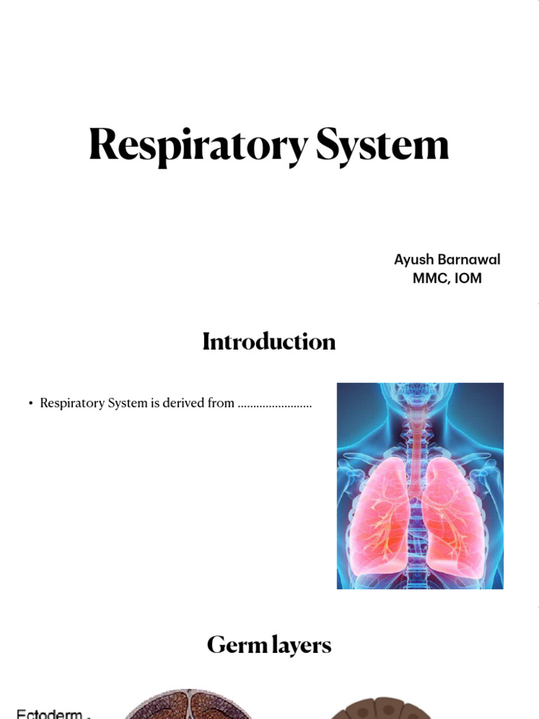 Mammalian Respiratory System Overview | PDF | Lung | Human Nose