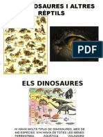 Fitxes de Dinosaures