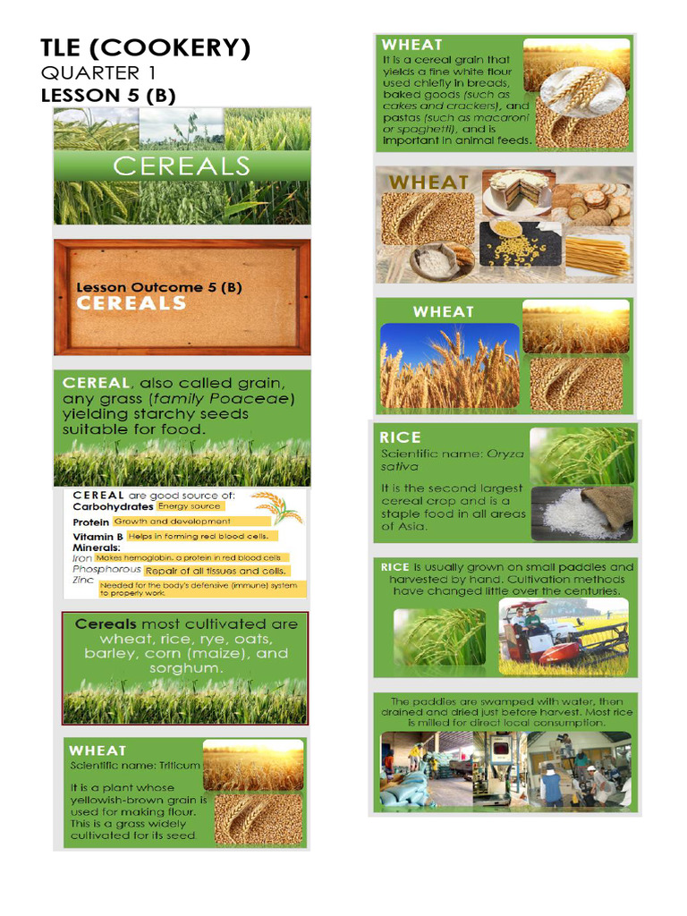 Tle (Cookery) : Lesson 5 (B) | PDF