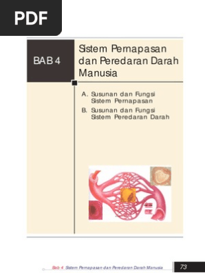 Ipa Kls 8 Bab 4 Sistem An Dan Peredaran Darah Manusia