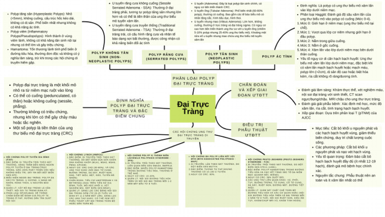 Polyp Đ I TR C Tràng - 20250624 - 180500 - 0000 | PDF