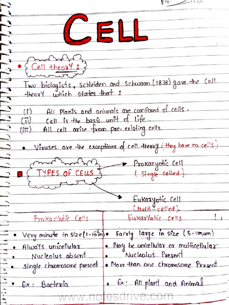 Overview of Cell Theory and Types | PDF | Biology | Life Sciences