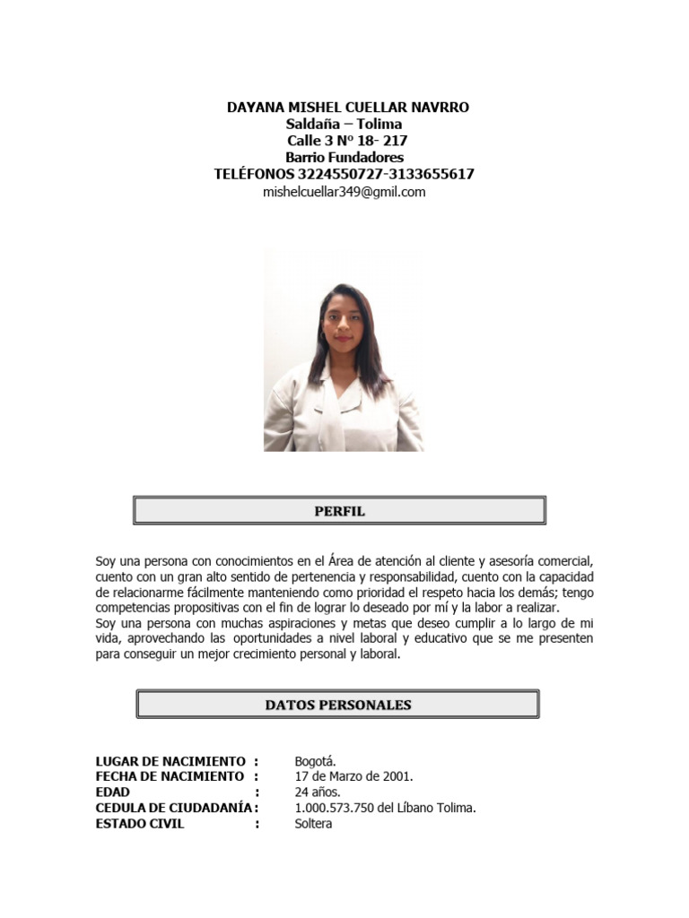 Perfil Profesional de Dayana Cuellar | PDF