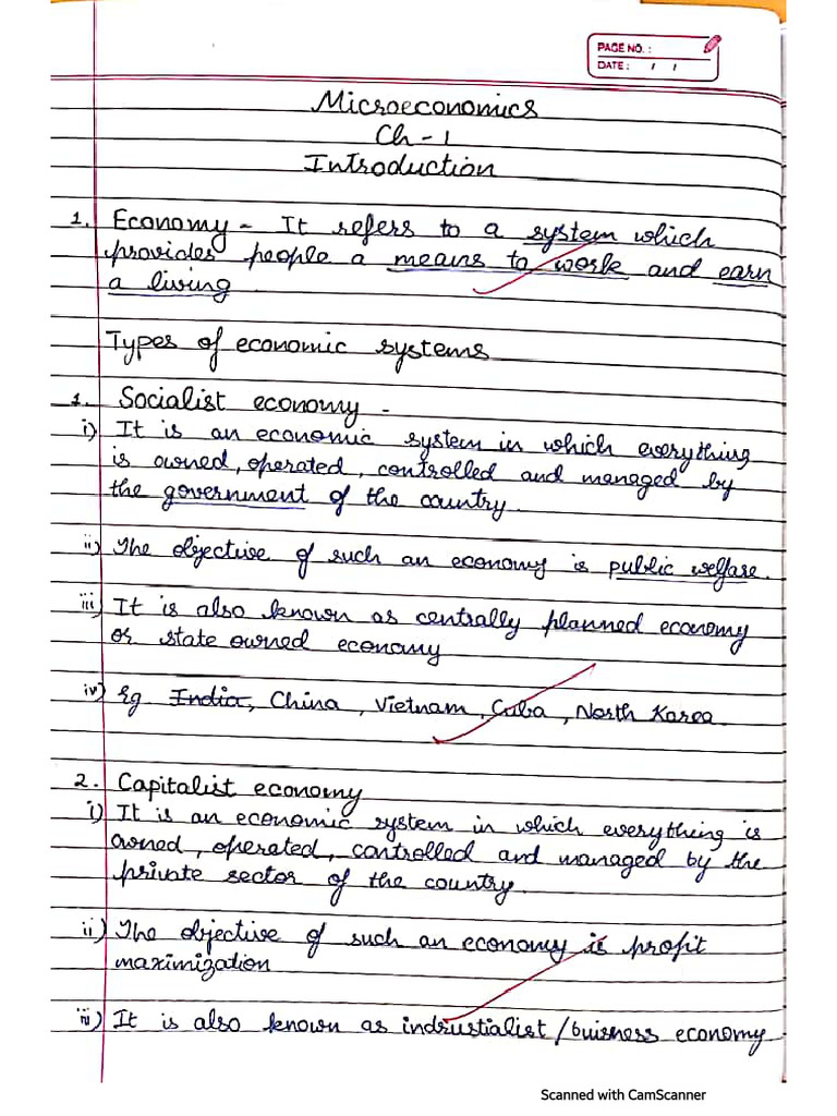 Micro - Chapter 1 - Notes | PDF
