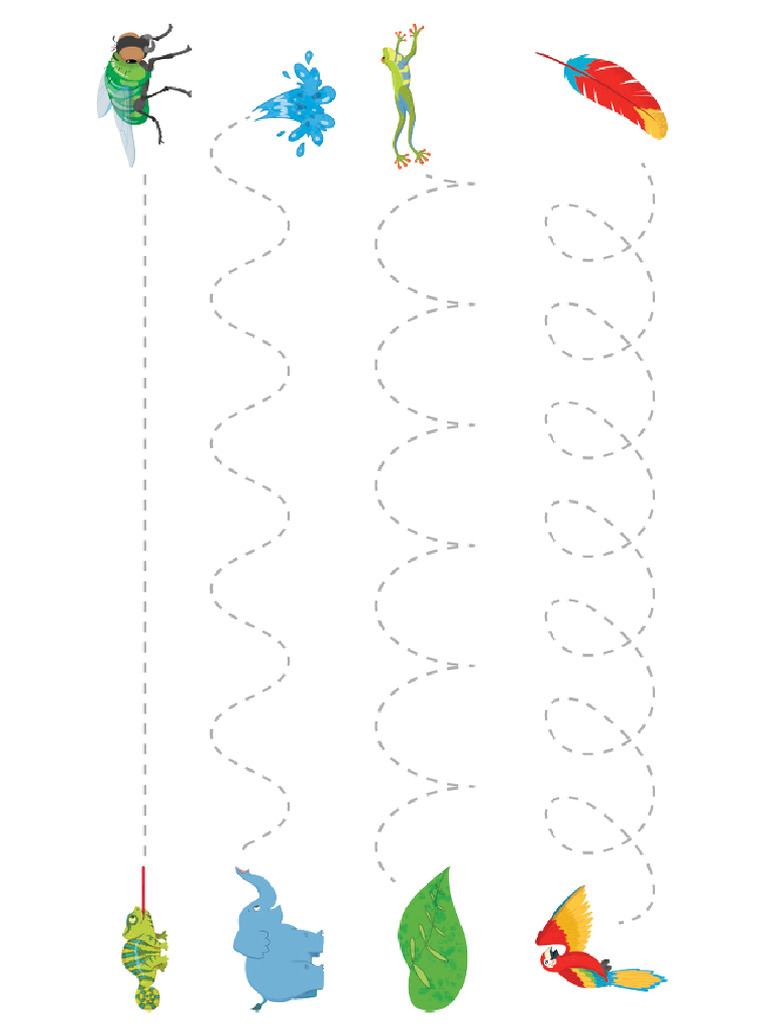 Fine Motor Skills Activities | PDF