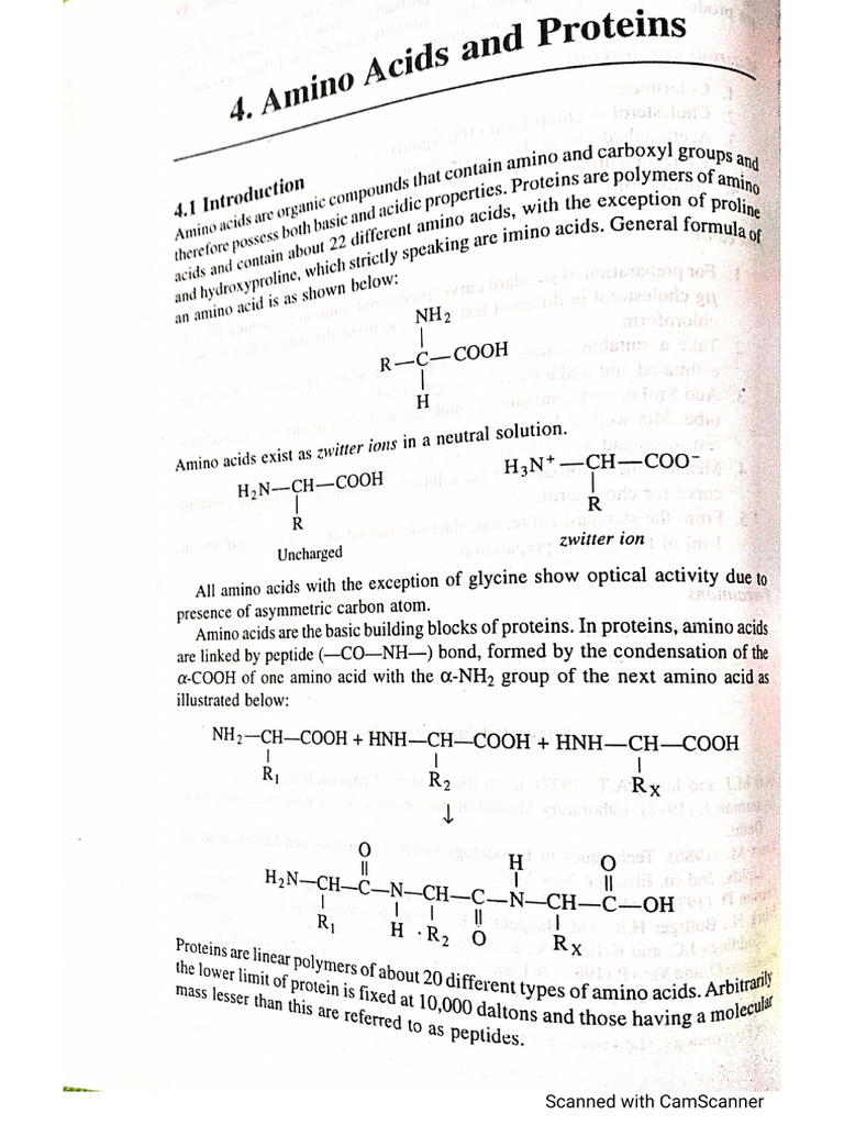 Protein | PDF