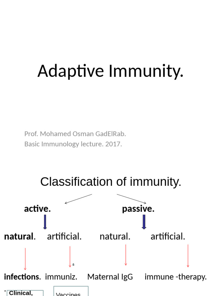 Classification of Adaptive Immunity | PDF | T Helper Cell | T Cell