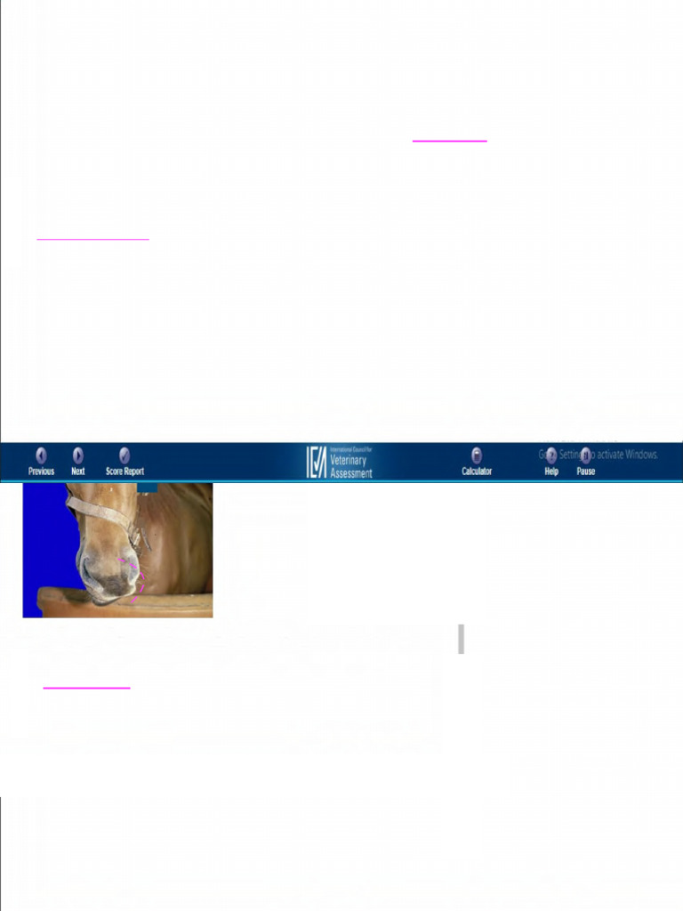 Equine and Canine Medical Evaluations | PDF | Diarrhea | Sheep