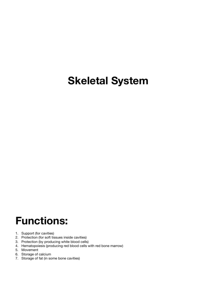 Overview of the Skeletal System Functions | PDF | Bone | Cartilage