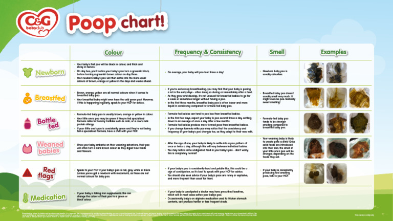 Danone Medical Team Baby Poop Chart Artwork | PDF | Breastfeeding | Infants
