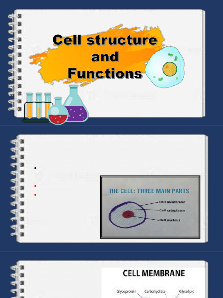 Cell Structure and Functions | PDF