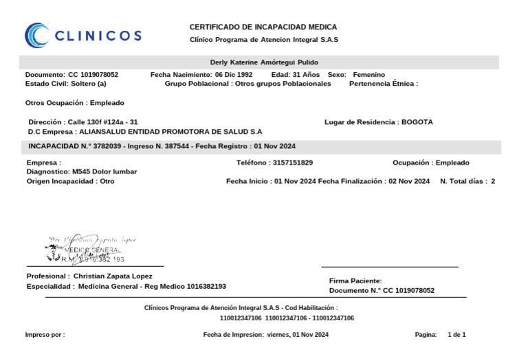Certificado de Incapacidad Médica 2024 | PDF