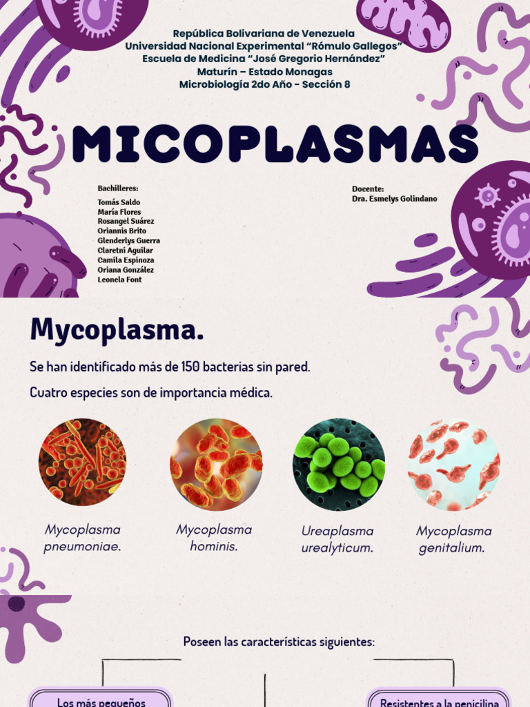 Características y Patologías de Micoplasmas | PDF | Micoplasma ...
