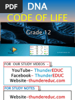 Grade 11 Biology: Genetics & Cell Division | PDF | Dominance (Genetics ...