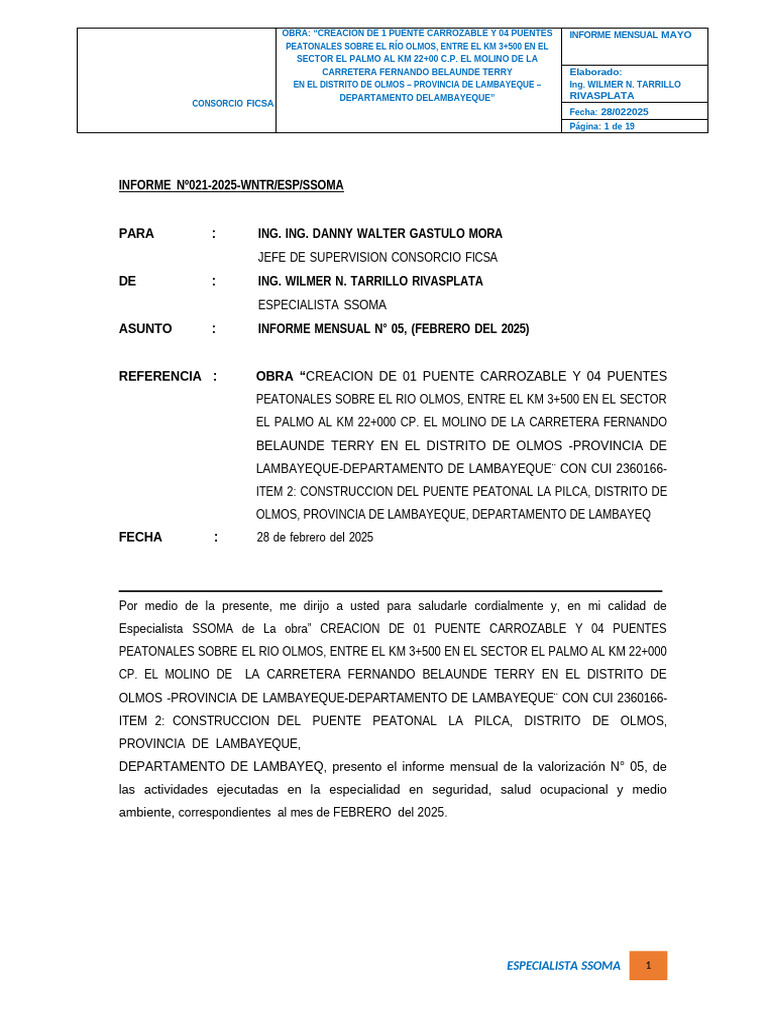 Informe Ssoma Febrero Del 2025 | PDF | Seguridad y salud ocupacional ...