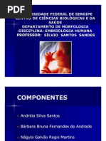 28880220 Embriologia Do Sis Respiratorio