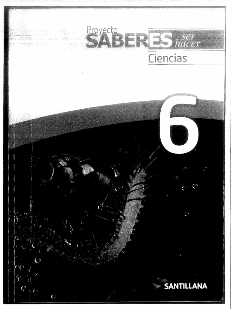 Saberes 6 Ciencias | PDF