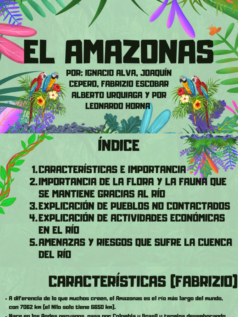 Importancia y economía del Amazonas | PDF | río Amazonas | Río