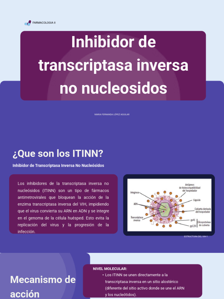 Inhibidores No Nucleósidos de la TI | PDF | La transcriptasa inversa | VIH