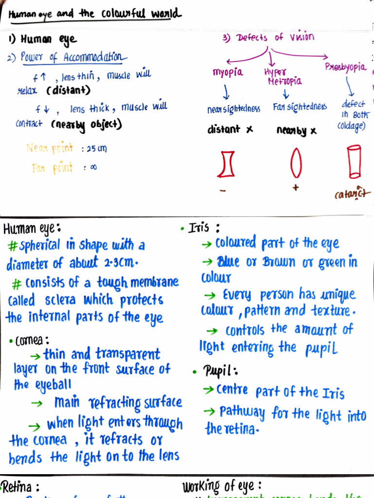 Human Eye Structure and Function | PDF | Eye | Human Eye