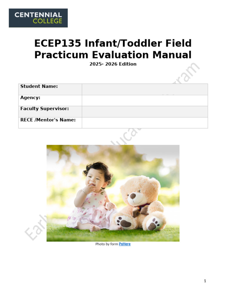 Infant/Toddler Practicum Evaluation Guide | PDF | Early Childhood ...