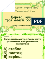 Я і Україна Природознавство 3 клас Урок 14 Дерева, кущі, трави