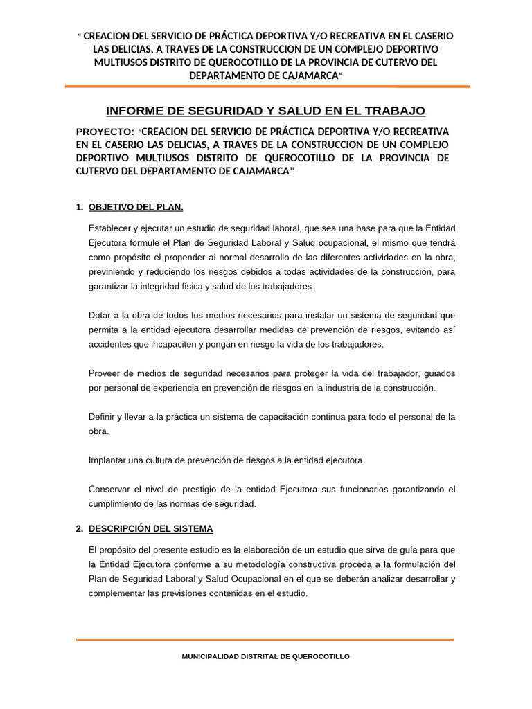 Informe de Seguridad y Salud | PDF | Seguridad y salud ocupacional