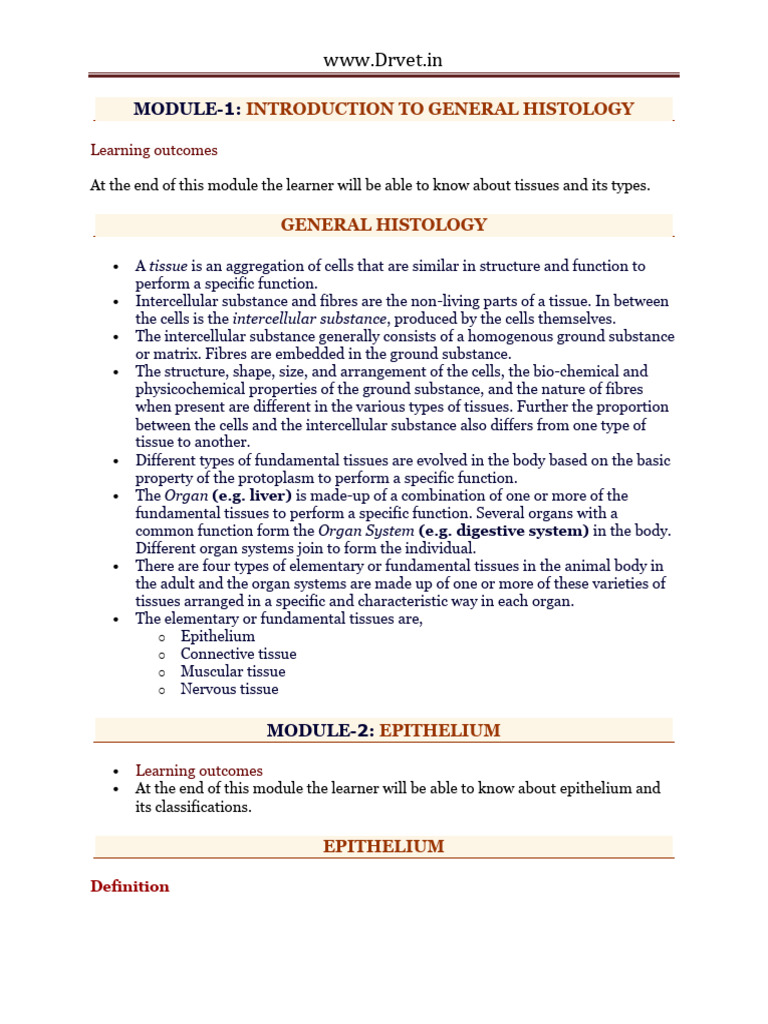 Overview of General Histology Concepts | PDF | Epithelium | Connective ...