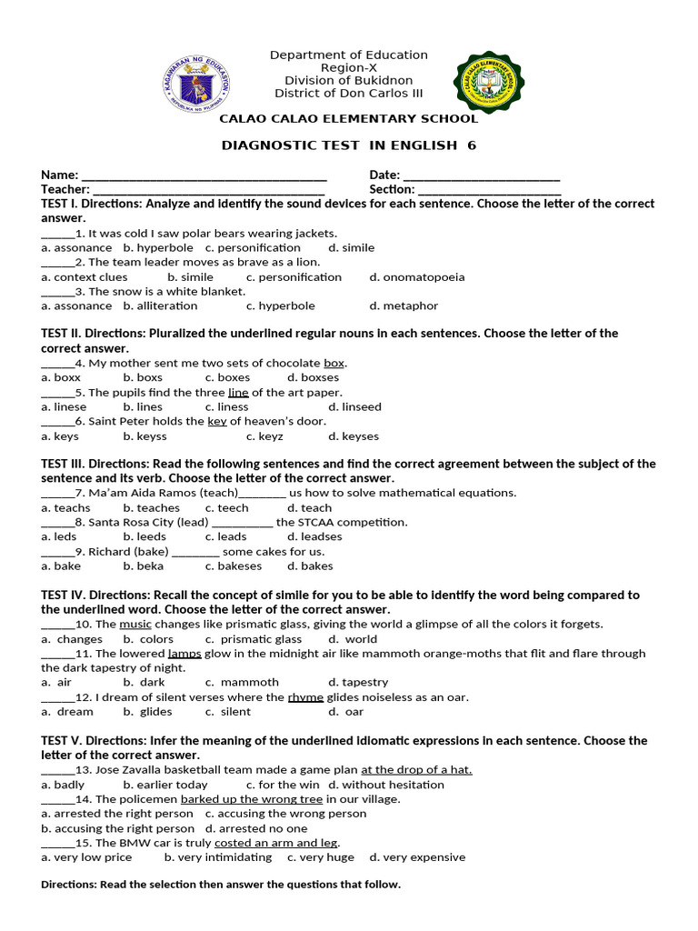 English 6 Diagnostic Test Overview | PDF | Grammar | Linguistic Morphology