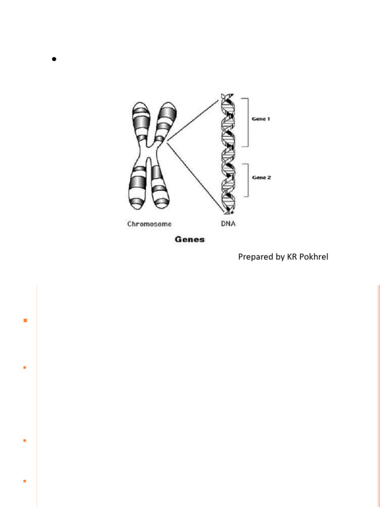 Gene Fine Structure and Benzer's Discoveries | PDF | Gene | Genetics