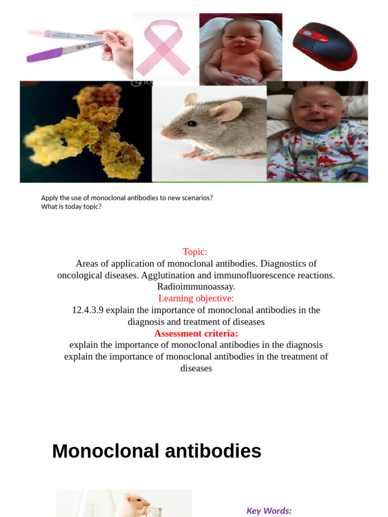 Monoclonal Antibodies in Disease Diagnosis | PDF | Antibody ...