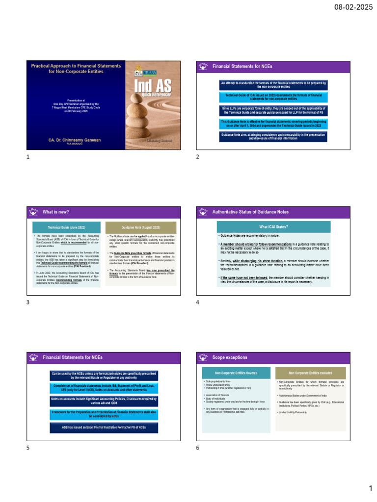 Financial Statements Guidance for NCEs | PDF | Expense | Balance Sheet