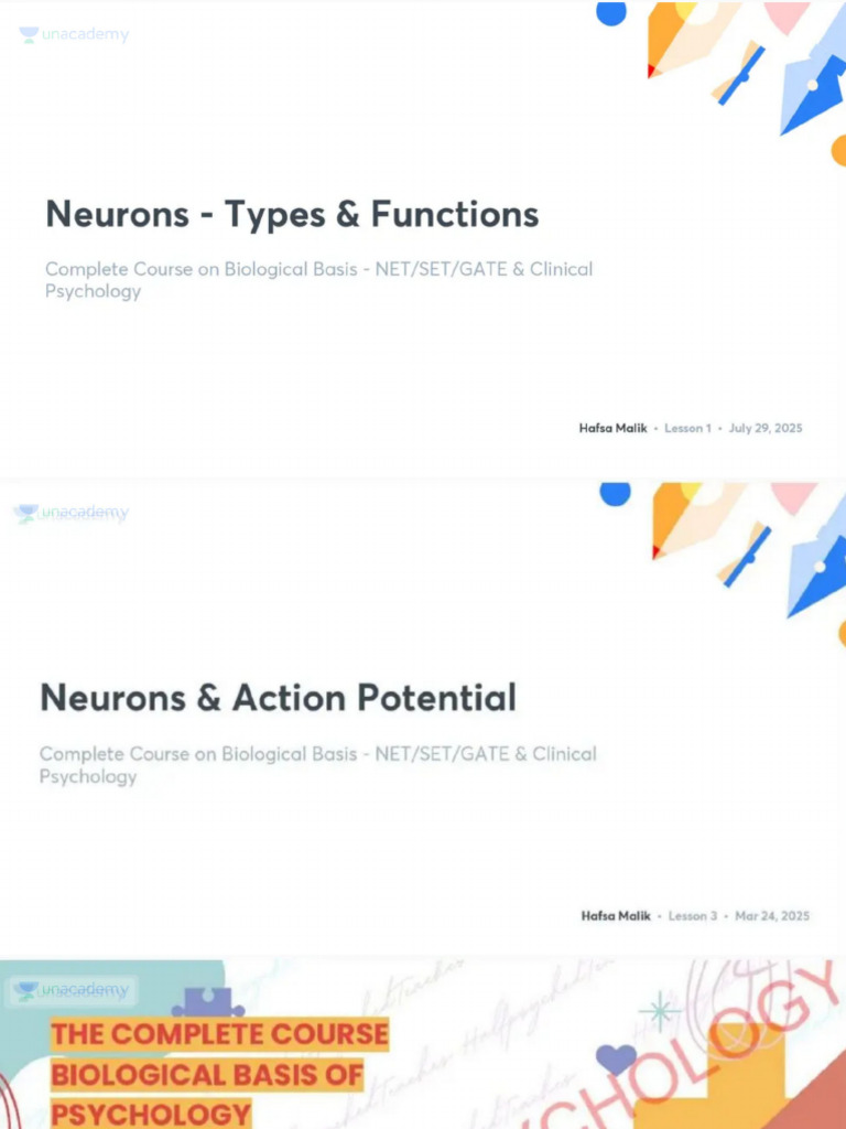 Neurons - Types Functions No Anno 1754585543025 | PDF