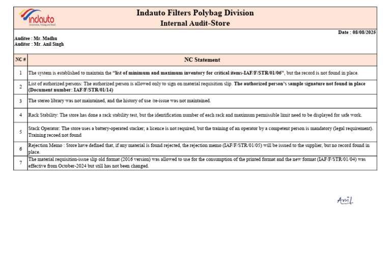Internal Audit Findings for Store Inventory | PDF