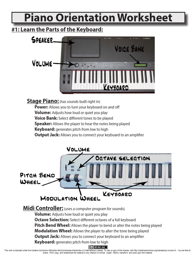 Keyboard Basics for Beginners | PDF | Piano | Synthesizer