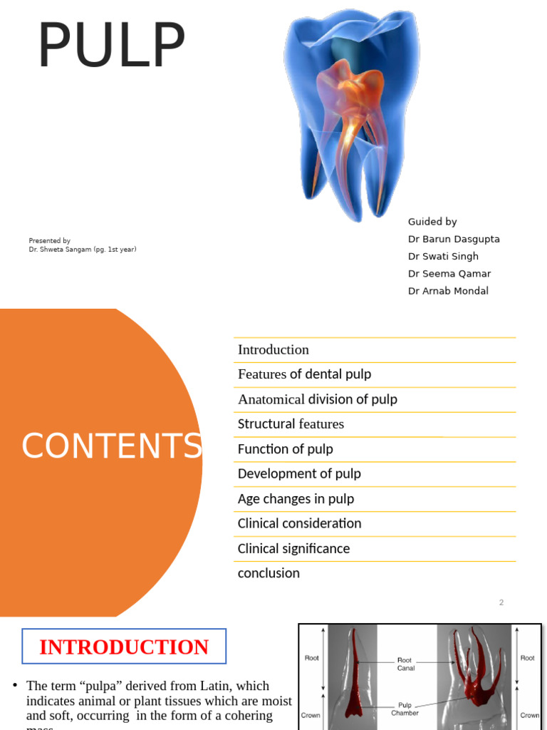 Understanding Dental Pulp Structure and Function | PDF | Dental Anatomy ...