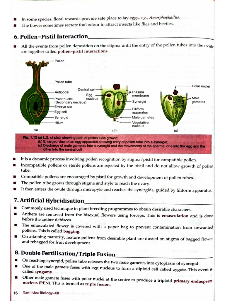 Document 30 | PDF